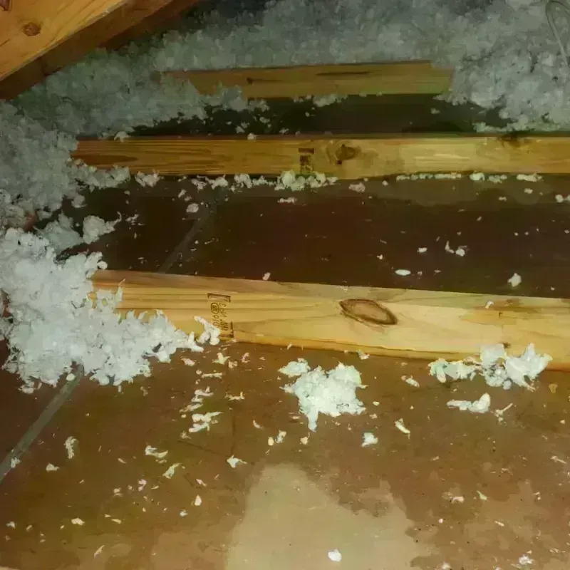 Attic Water Damage in Columbus, IN