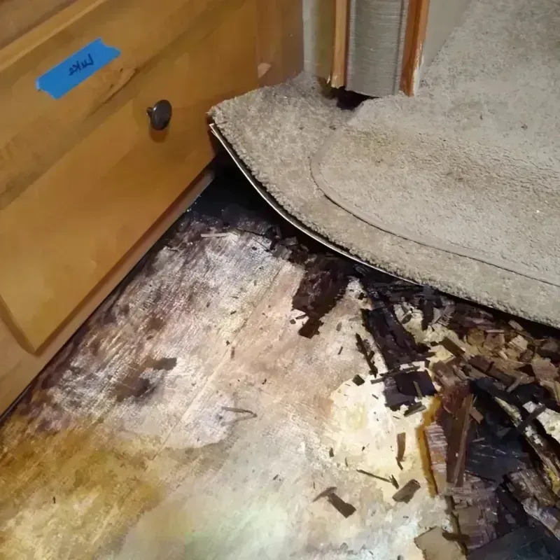 Best Wood Floor Water Damage Service in Columbus, IN